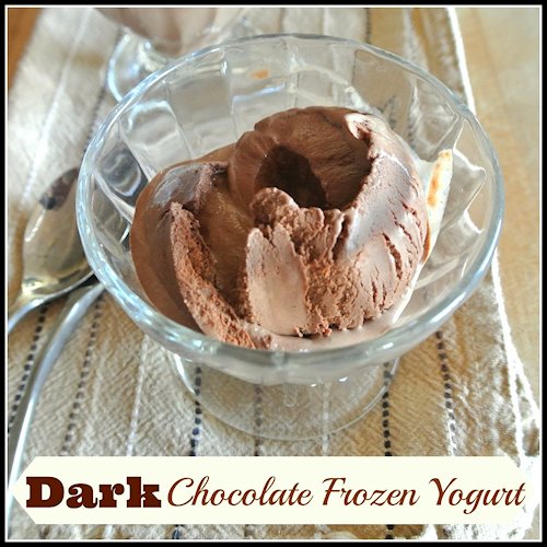 Dark Chocolate Frozen Yogurt