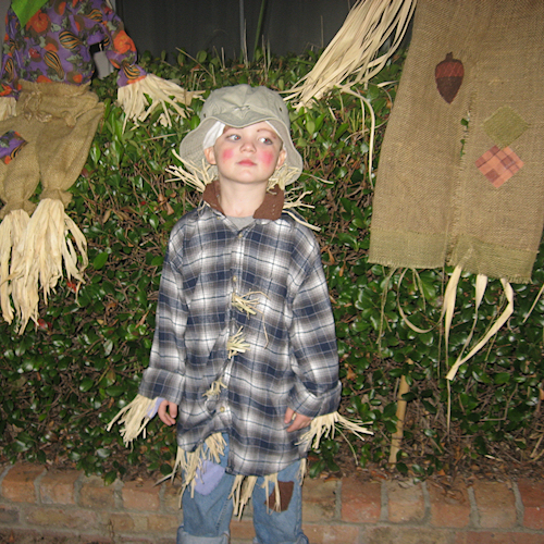 Scarecrow Costume