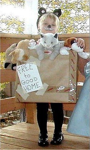 Pets for Sale Costume